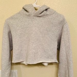 Aritzia TNA Perfect Hoodie Crop